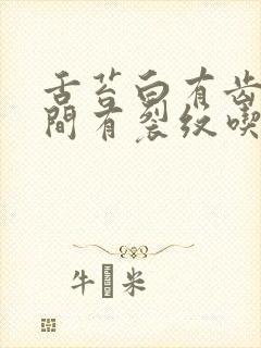 舌苔白有齿痕中间有裂纹吃什么药