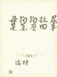 母狗狗拉尿带血是怎么回事