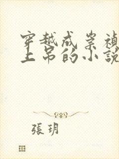 穿越成崇祯正在上吊的小说