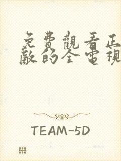 免费观看正者无敌的全电视剧全集