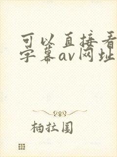 可以直接看中文字幕av网址