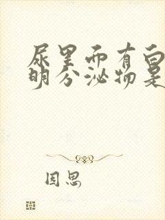 尿里面有白色透明分泌物是怎么回事