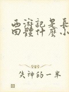 西游记是长篇章回体什么小说