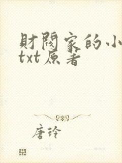 财阀家的小儿子txt原著