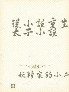 从小说重生大周太子小说