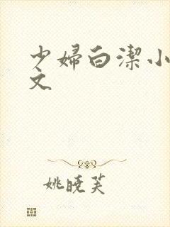 少妇白洁小说全文