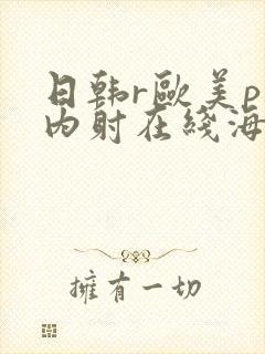 日韩r欧美p片内射在线海角片