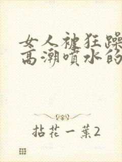 女人被狂躁c到高潮喷水的句子