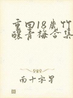 重回18岁竹马酿青梅合集