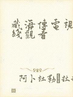 藏海传电视剧在线观看