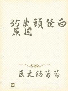 35岁头发白的原因封面