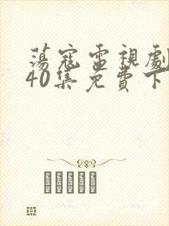 荡寇电视剧全集40集免费下载观看