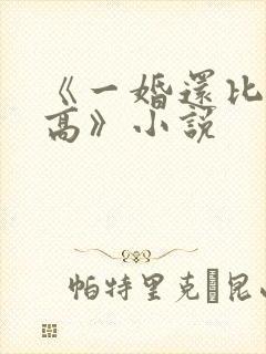 《一婚还比一婚高》小说