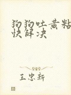 狗狗吐黄粘液最快解决