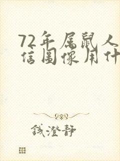 72年属鼠人微信图像用什么好