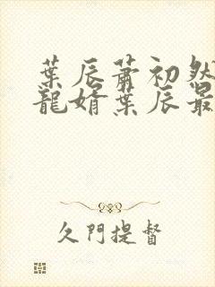 叶辰萧初然上门龙婿叶辰最新