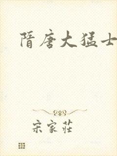 隋唐大猛士封面