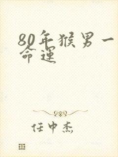 80年猴男一生命运封面