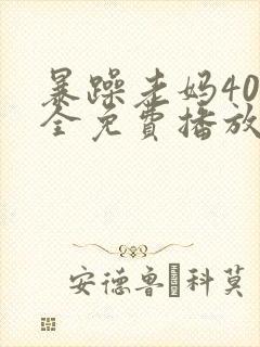 暴躁老妈40集全免费播放电视剧封面