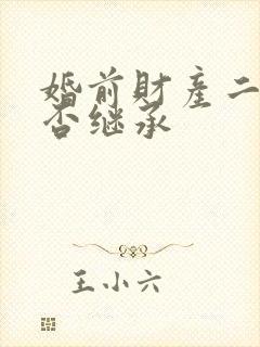 婚前财产二婚能否继承封面