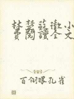 林楚苏彻小说免费阅读全文最新章节封面