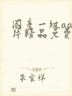 国产一级aaa片精品免费观看