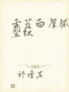 舌苔白厚腻中竖裂纹