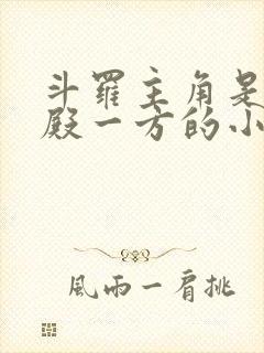 斗罗主角是武魂殿一方的小说