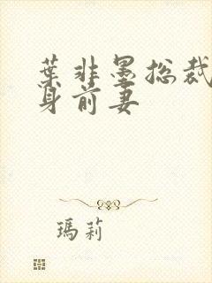 叶非墨总裁的替身前妻