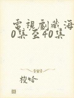 电视剧藏海传20集至40集