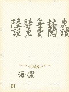 陆辞年林岁安小说免费阅读最新章节封面