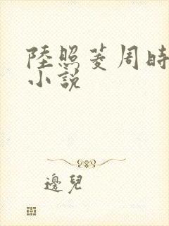 陆照菱周时阅的小说