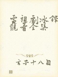 电视剧冰锋免费观看全集