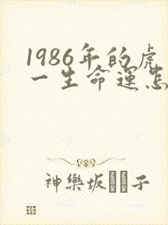 1986年的虎一生命运怎样