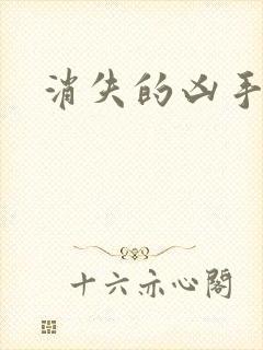 消失的凶手解析