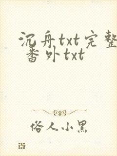 沉舟txt完整 番外txt封面