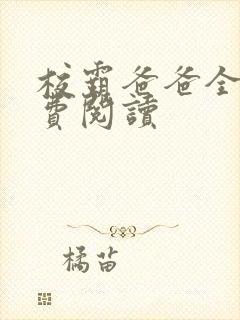 校霸爸爸全本免费阅读封面