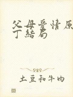 父母爱情原著老丁结局