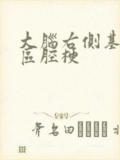 大脑右侧基底节区腔梗封面