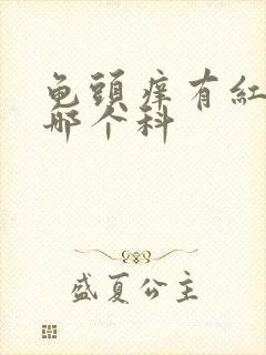 龟头痒有红斑挂哪个科