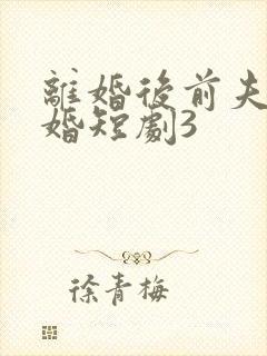 离婚后前夫求复婚短剧3