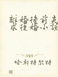 离婚后前夫哭着求复婚小说全文阅读