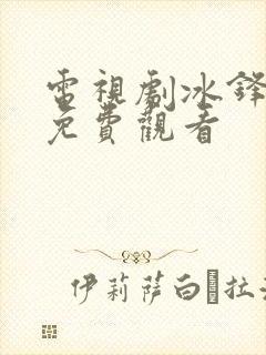 电视剧冰锋全集免费观看封面