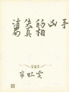 消失的凶手大结局真相封面