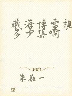 藏海传电视剧有多少集啊封面