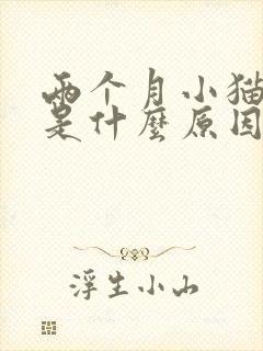 两个月小猫呕吐是什么原因