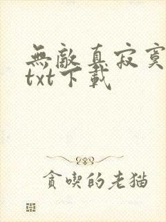 无敌真寂寞小说txt下载