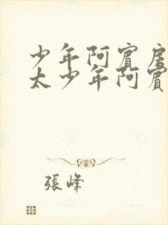 少年阿宾房东太太少年阿宾