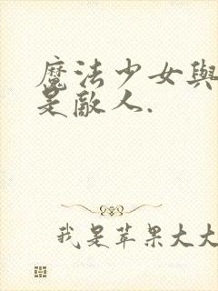 魔法少女与恶曾是敌人.