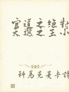 官道之绝对权力天选之主小说无弹窗